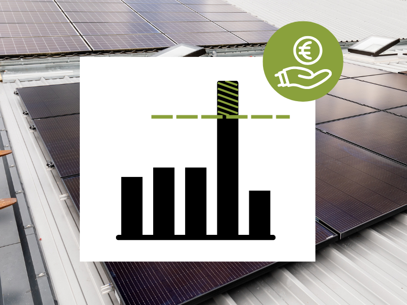 Warum mit SUNVITEC? Lastspitzenkappung und Eigenverbauchserhöhung!