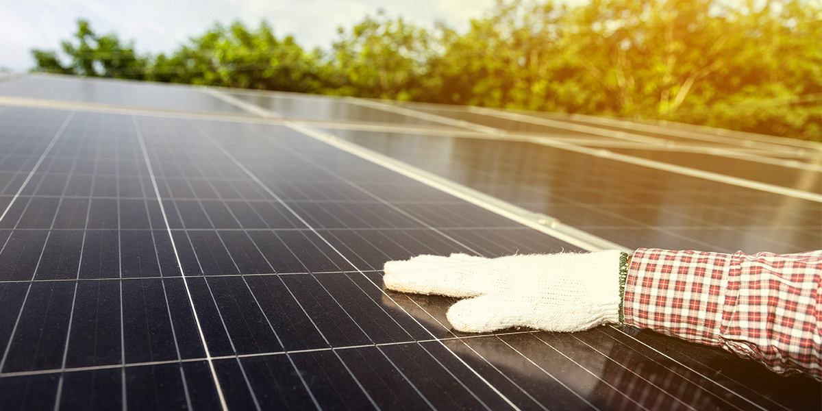 Reinigung Photovoltaik: Für wen lohnt sich der Service von Sunvitec?